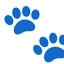 DOGDLE: Daily Dog Breed Guessing Game artwork