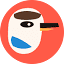 Street Peekaboo — A daily bird-spotting game artwork