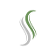 Synapse Swap artwork